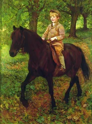 Attraverso il bosco