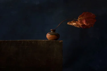 Natura morta autunnale scura
