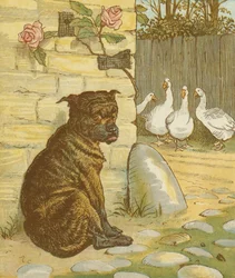 La casa che Jack costruì, filastrocca accumulativa. Il cane che preoccupava il gatto che... Illustrazione di Randolph Caldecott