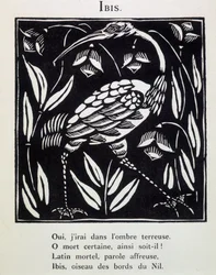 Ibis - in "Le Bestiaire ou cortege d