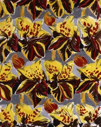 Fiori rossi e gialli; Fleurs Rouges et Jaunes