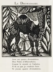 Il Dromedario, illustrazione da "Il Bestiario o Processione di Orfeo".