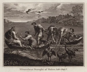 Cartone di Raffaello: La pesca miracolosa, Luca, Capitolo V (incisione)