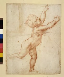 Studio di bambino