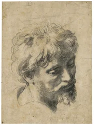 "Ritratto di giovane apostolo" (Testa di giovane apostolo) Carbone su carta di Raffaello Sanzio (1483-1520) Collezione privata