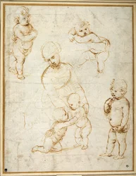 Studi per la 