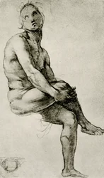 Adamo