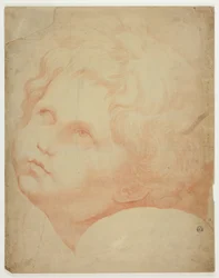 Testa di bambino, sguardo verso l