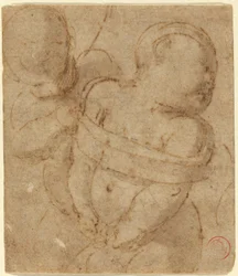 Cupido Legato