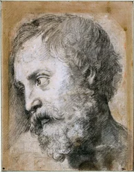 Testa di un Apostolo Studio per la Trasfigurazione