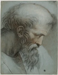 Testa di Pitagora
