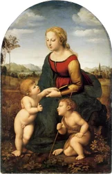 Madonna con bambino e San Giovanni Battista

Titolo/i alternativo/i:  La belle jardinière