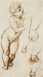 Recto: Il Bambino Gesù e altri studi, 1500-1520