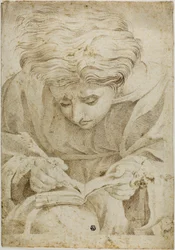 Giovane seduto che scrive in un libro