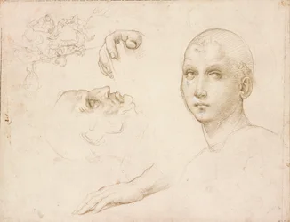 Studi per la Trinità di San Severo