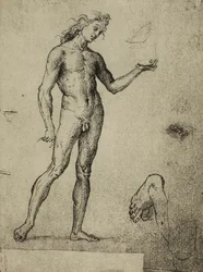 Studio di nudo maschile, disegno di Raffaello. Gallerie dell