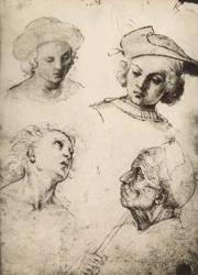 Studio di quattro volti maschili