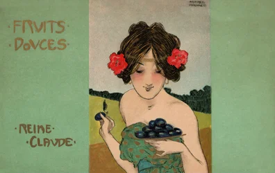 Greengages, 1900 circa (illustrazione)