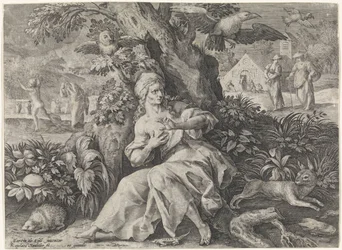 Paura