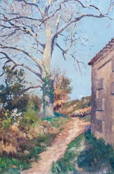Sentiero con angolo di casa e platano, 18-21 marzo