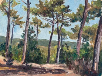 Pineta (olio su cartone)