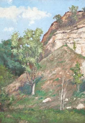 Alberi di fronte a una piccola scogliera