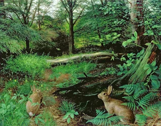 Nel bosco - Una sera di mezza estate (olio su tavola)
