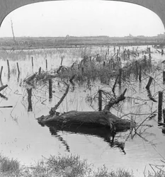 Chiuse aperte e filo spinato a Nieuwpoort, Belgio, Prima Guerra Mondiale, c1914-c1918