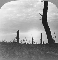 Il sole che tramonta sulla terra di nessuno sulla Somme, Francia, Prima Guerra Mondiale, c1914-c1918