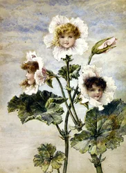 Geranio e Pisello odoroso - Bambini dei fiori - un paio