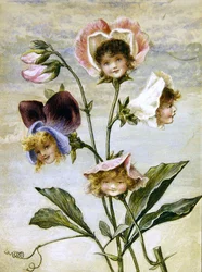 Geranio e Pisello Odoroso - Bambini dei Fiori - una coppia