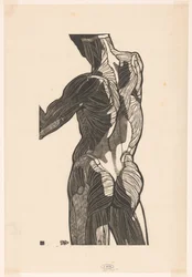 Studio anatomico dei muscoli della schiena e dei glutei di un uomo