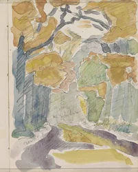 Sentiero nel bosco in autunno