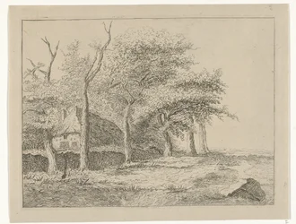 Fila di alberi