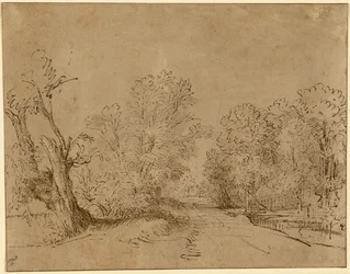 Una strada boscosa