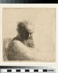 Busto di un vecchio uomo barbuto, con lo sguardo rivolto verso il basso, di tre quarti a destra