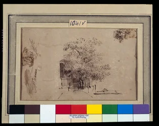Studio di un albero davanti a una casa