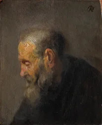 Studio di un vecchio di profilo