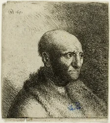 Uomo calvo in pelliccia: busto