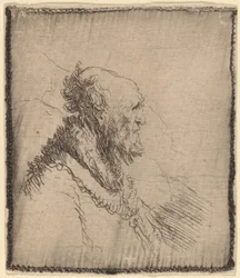 Vecchio Calvo con una Barba Corta di Profilo, c. 1635