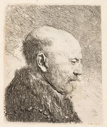 Uomo calvo di profilo (padre di Rembrandt?)