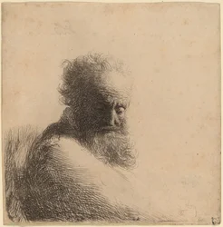 Busto di un vecchio barbuto, guardando in basso, tre quarti a destra