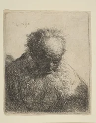 Busto di un vecchio con barba fluente: la testa china in avanti: spalla sinistra non ombreggiata, 1630