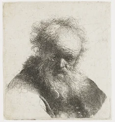 Busto di un vecchio con barba fluente e manica bianca