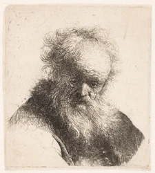 Busto di un anziano con barba fluente e manica bianca
