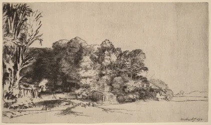 Gruppo di alberi con vista panoramica