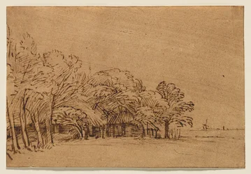 Fattoria sotto gli alberi