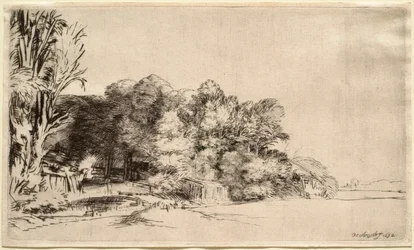 Paesaggio con un gruppo di alberi