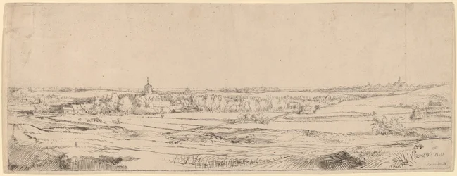 Paesaggio con vista verso Haarlem (Il campo del pesatore d