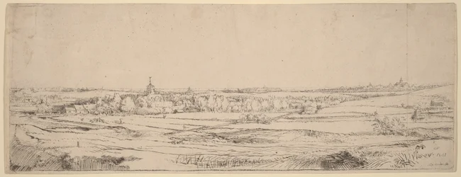 Paesaggio con vista verso Haarlem (Il campo dei pesatori d
